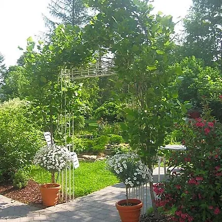 Hotel Schloss Sennfeld - & Restaurant & Veranstaltungsort Adelsheim